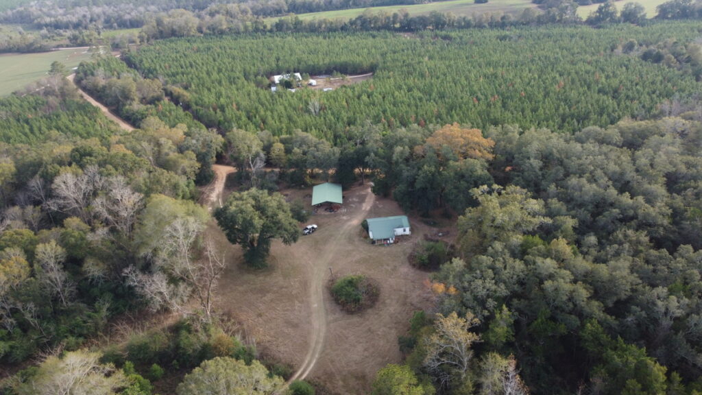 Property photo for land for sale in Covington County Alabama