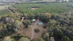 Property photo for land for sale in Covington County Alabama