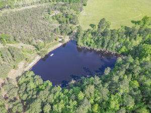 Property photo for land for sale in Cass County Texas