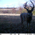 Property photo for land for sale in Sullivan County Missouri