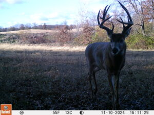 Property photo for land for sale in Sullivan County Missouri