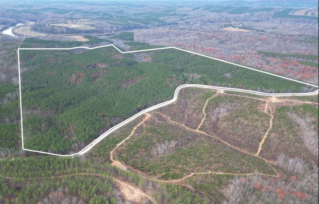 Property photo for land for sale in Buckingham County Virginia