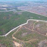 Property photo for land for sale in Buckingham County Virginia