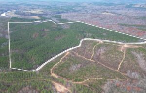 Property photo for land for sale in Buckingham County Virginia