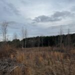 Property photo for land for sale in Spartanburg County South Carolina