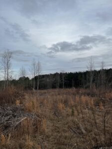 Property photo for land for sale in Spartanburg County South Carolina