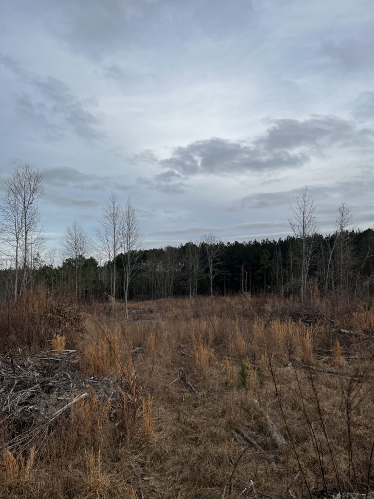Property photo for land for sale in Spartanburg County South Carolina