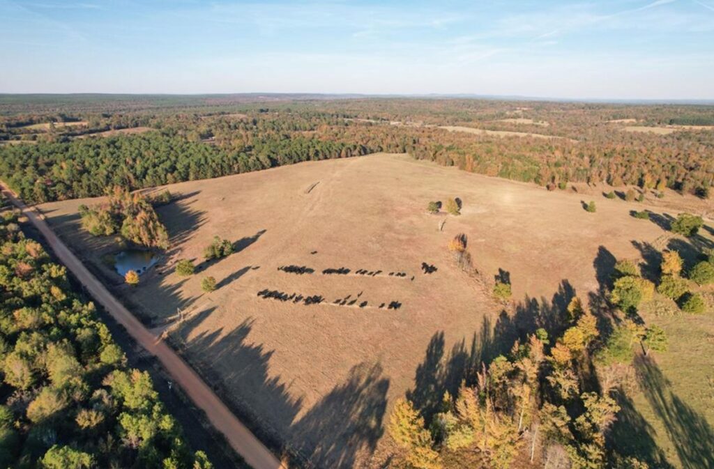 Property photo for land for sale in Pushmataha County Oklahoma