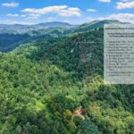 Property photo for land for sale in Mitchell County North Carolina