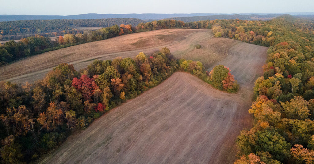 2026 Land Sales Predictions