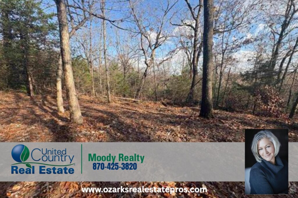 Property photo for land for sale in Baxter County Arkansas
