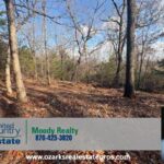 Property photo for land for sale in Baxter County Arkansas
