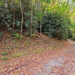 Property photo for land for sale in Smyth County Virginia