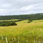 Property photo for land for sale in Custer County Nebraska