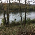 Property photo for land for sale in Izard County Arkansas