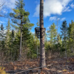 Property photo for land for sale in Penobscot County Maine
