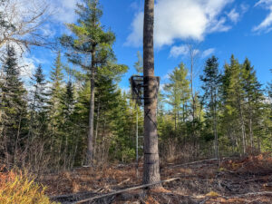 Property photo for land for sale in Penobscot County Maine