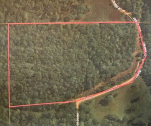 Property photo for land for sale in Delaware County Oklahoma