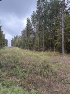 Property photo for land for sale in Miller County Arkansas