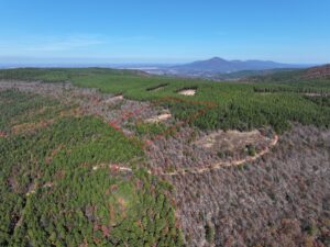 Property photo for land for sale in Le Flore County Oklahoma