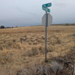 Property photo for land for sale in Harney County Oregon