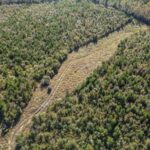 Property photo for land for sale in Amite County Mississippi