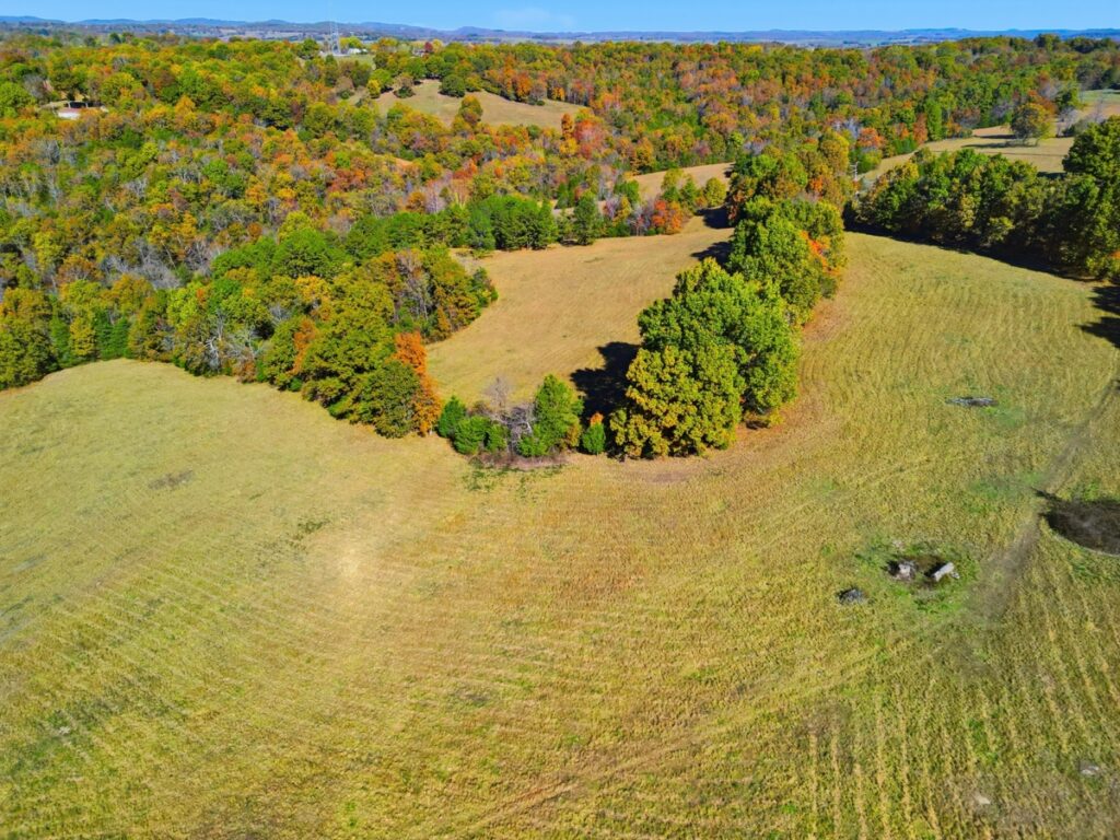 Property photo for land for sale in Ozark County Missouri