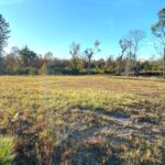 Property photo for land for sale in Emanuel County Georgia