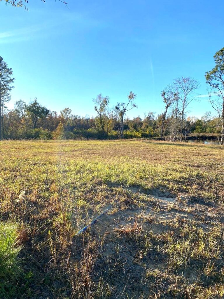 Property photo for land for sale in Emanuel County Georgia