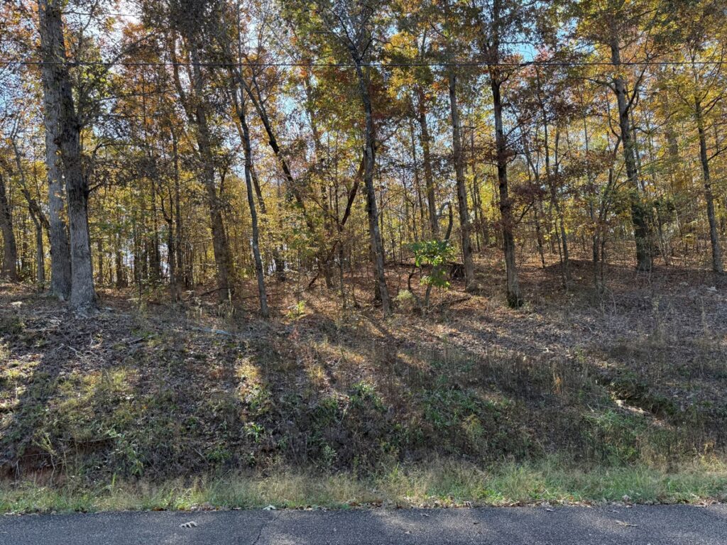 Property photo for land for sale in Hardin County Tennessee