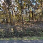 Property photo for land for sale in Hardin County Tennessee