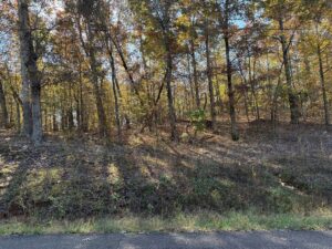 Property photo for land for sale in Hardin County Tennessee