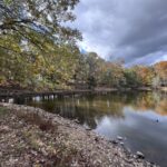 Property photo for land for sale in Polk County Missouri