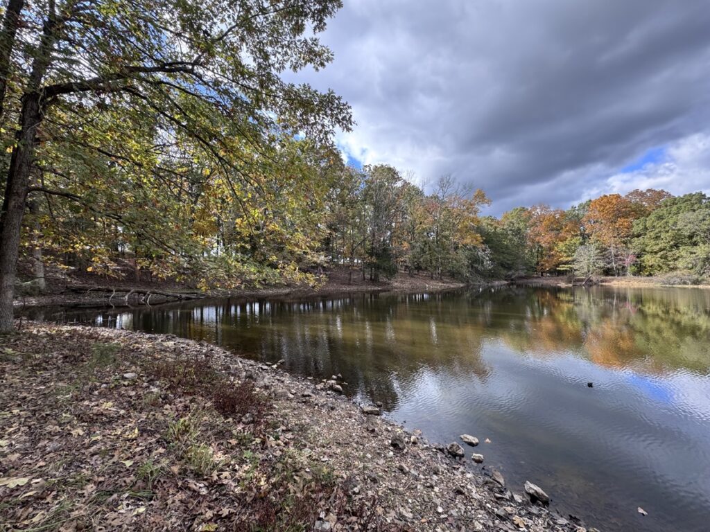 Property photo for land for sale in Polk County Missouri