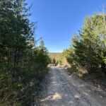 Property photo for land for sale in Stone County Arkansas