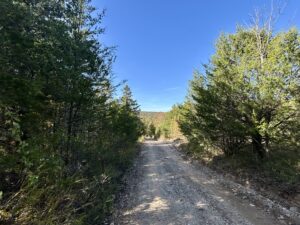 Property photo for land for sale in Stone County Arkansas