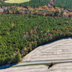 Property photo for land for sale in Lunenburg County Virginia