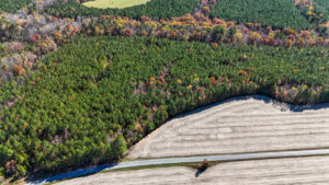 Property photo for land for sale in Lunenburg County Virginia