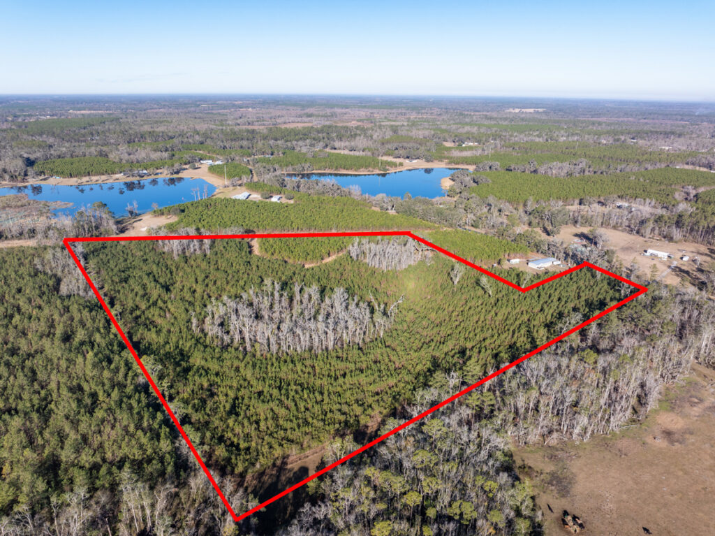 Property photo for land for sale in Suwannee County Florida