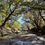 Property photo for land for sale in Clay County Mississippi