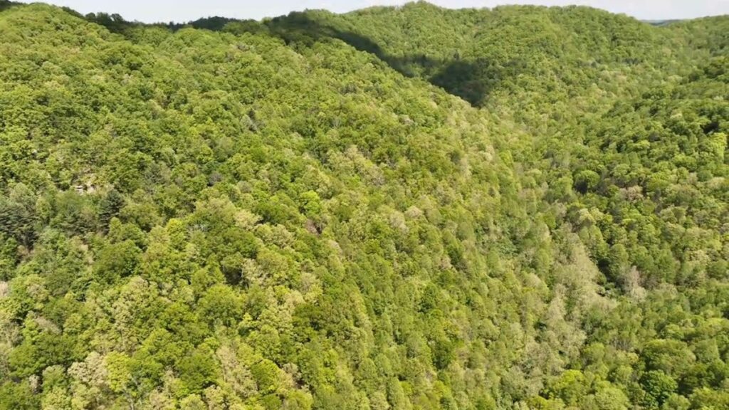 Property photo for land for sale in Buchanan County Virginia