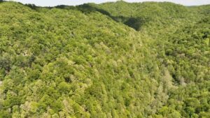Property photo for land for sale in Buchanan County Virginia