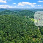 Property photo for land for sale in Alexander County North Carolina