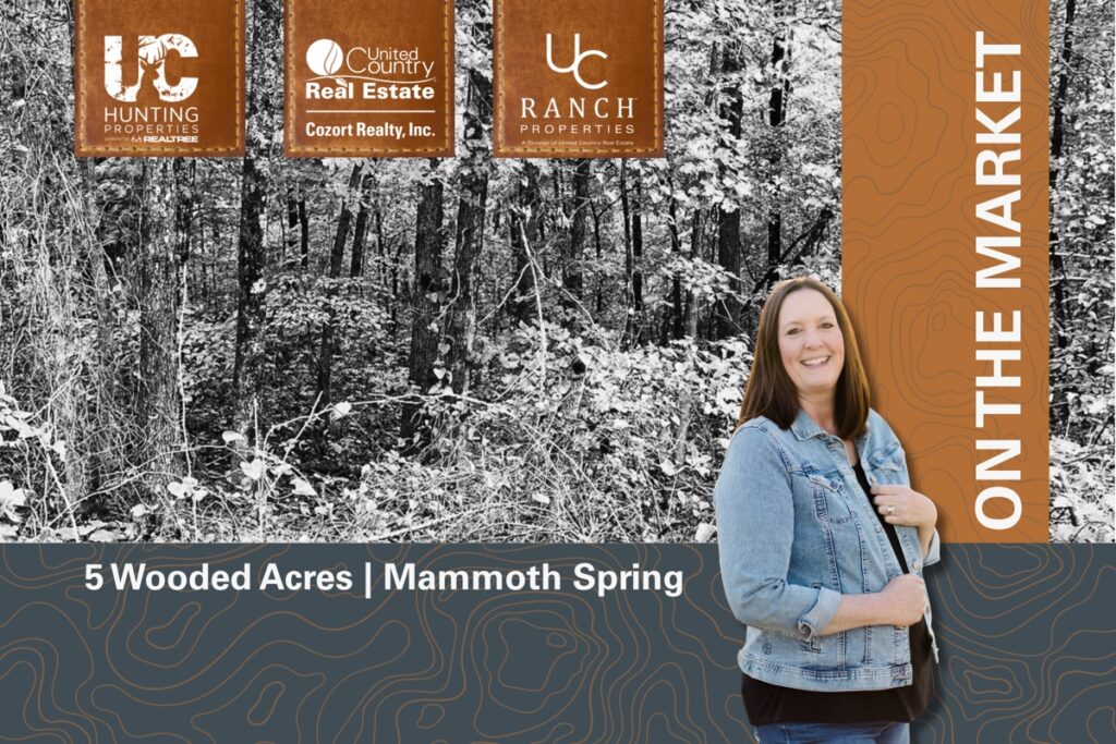 Property photo for land for sale in Fulton County Arkansas