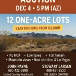 Property photo for land for sale in Mohave County Arizona