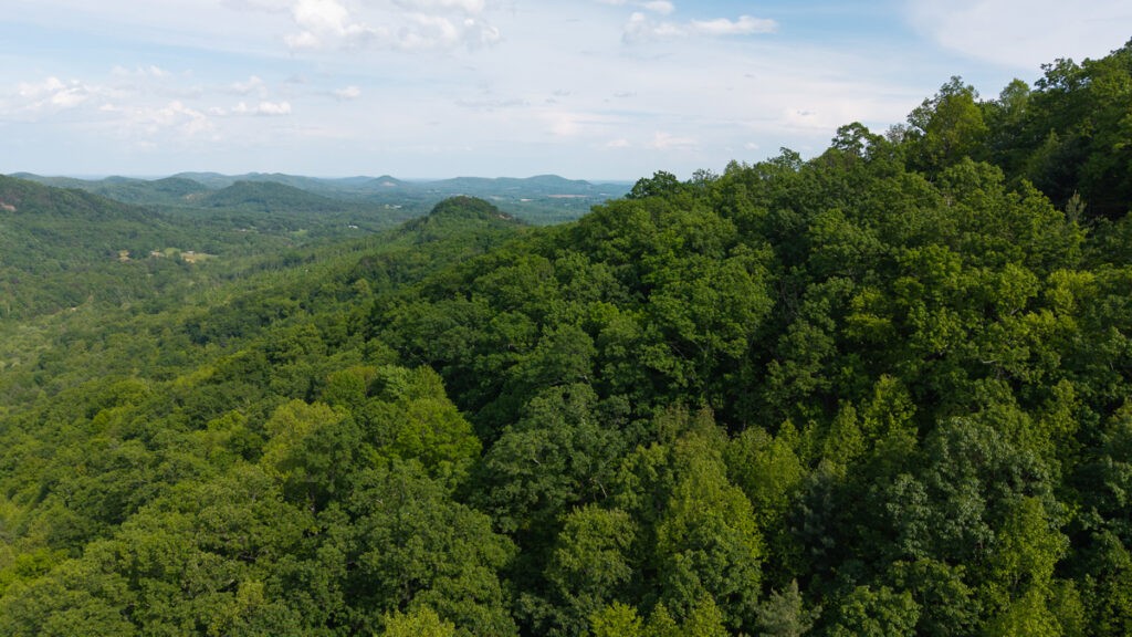 Property photo for land for sale in Wilkes County North Carolina