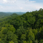 Property photo for land for sale in Wilkes County North Carolina