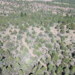Property photo for land for sale in Lassen County California