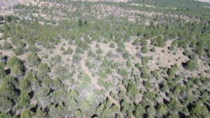 Property photo for land for sale in Lassen County California