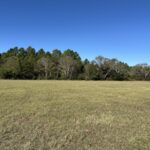 Property photo for land for sale in Cherokee County Texas